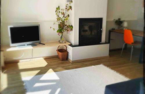 Schöne Wohnung mit Sonnenterrasse und Kamin - Foto 9