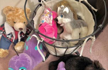 New! Special Intro Rate! Walkable, Fenced-In Yard - Foto 11