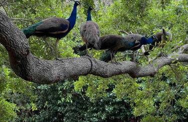 Luxury Miami Village w/Pool+Grill+MiniGolf - Foto 31