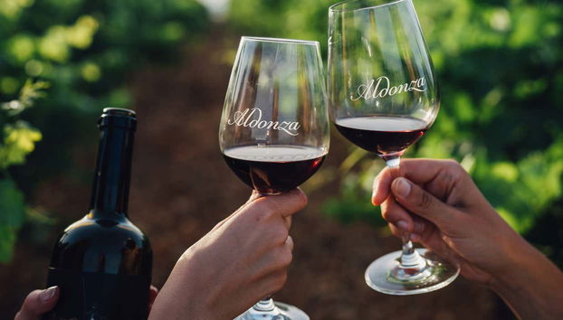 Brindisi con un vino rosso di Aldonza