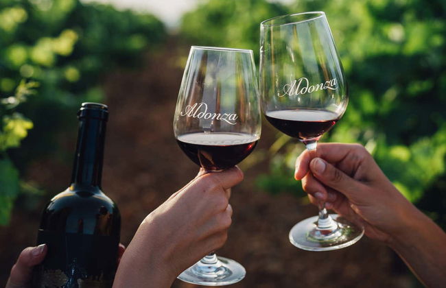 Tour of the Aldonza Gourmet Winery - Foto 4