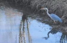 Strobels Ferienhaus - Foto 40