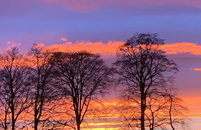 Charming 2-bed Cabin in Inverness, Scotland - Photo 22