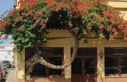 Casa TINGUARO - Foto 44