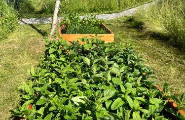 Okno na las - Foto 35