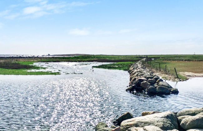 8 Person Holiday Home in Tvaaker-by Traum - Foto 10