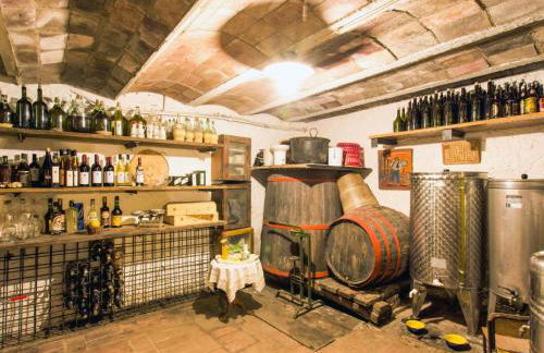 Apartment Borgo della Limonaia-1 by Interhome - Foto 34