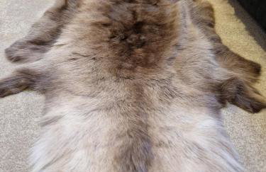 The Hamilton luxury holiday let's- The Coach House with hot tub - Foto 43