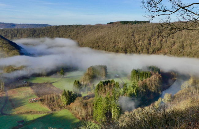 Au Pied de Vigne - Foto 19