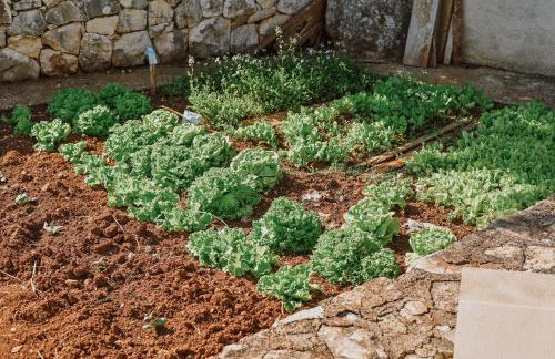 Vila Štala - Foto 51