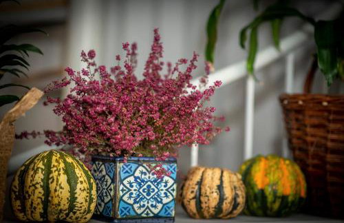 Apartament Boheme - Foto 11