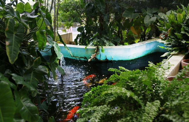 Hersher Studios & Apartments - Foto 26