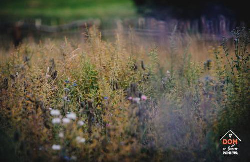 Dom w sercu Pomlewa - Foto 33