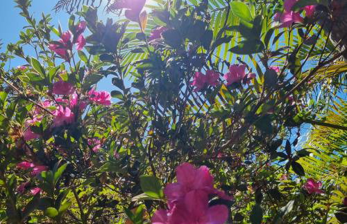 Casa 4 dorms 2 suites - localização perfeita no centrinho e rodeada de natureza - Foto 30