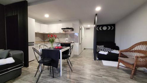 Apartamenty Parkowe nr 7 - Foto 3