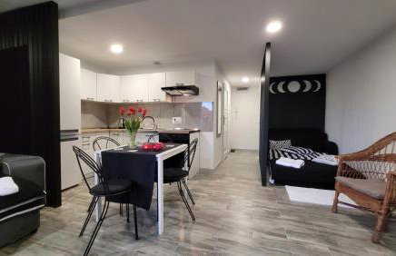 Apartamenty Parkowe nr 7 - Foto 3