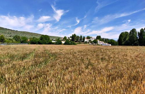 Complejo Apartamentos Rurales Molino de Abajo - Foto 12