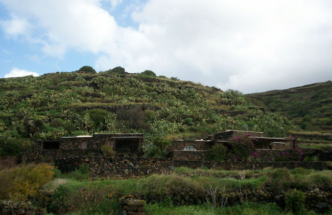 Agriturismo Zibibbodoro - Foto 60