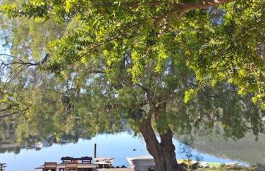 Αrmiriki House - Photo 35