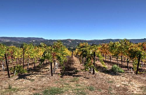Beautiful Sonoma House with Patio and Vineyard Views! - Foto 21