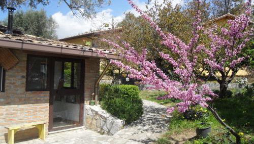 Locazione Turistica Casa in Campagna - Foto 5