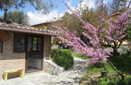 Locazione Turistica Casa in Campagna - Foto 5