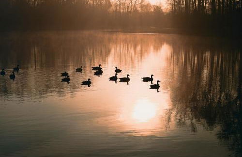 Paddler's Lane Retreat - Foto 57