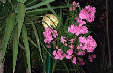 Anatolika Stamatis Paradise - Photo 29