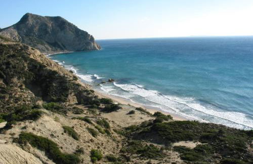 Level Houses - Foto 60