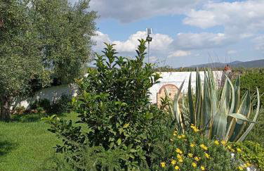 Elia by the sea - Photo 7