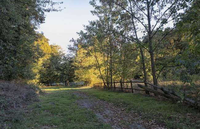 Chateau de Tressé - Foto 58