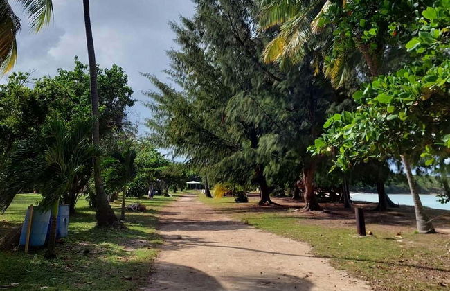 Excursión a Playa Escondida - Foto 6