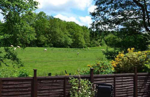 Arrowwood Self Catering (Wagtail and Nuthatch) - Foto 28