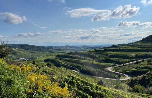 Weingut & Straußwirtschaft Vogel - Foto 49
