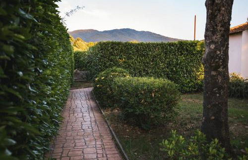 Le Cerqueta - Foto 34