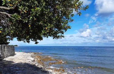 Apartment Raul in Dajla - Photo 27