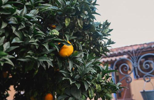 Apartamentos El Pozo 2 - Photo 14