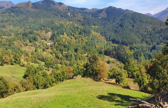 Holiday Home in Ortignano - Foto 36