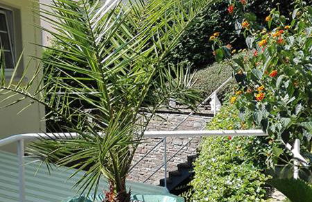 Haus Schönblick - Photo 20