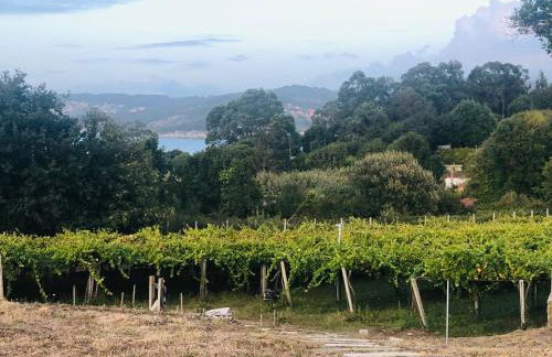 Casa con jardín al lado de Playa Hío - Foto 35