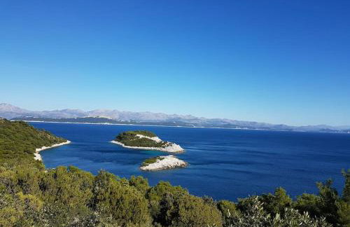 Apartment Kristić - Saplunara, Mljet - Photo 19