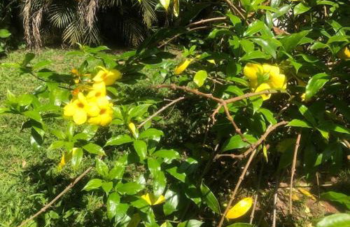 Casa de Campo & Home Office - Itapecerica da Serra , perto do Embu das Artes - Photo 31