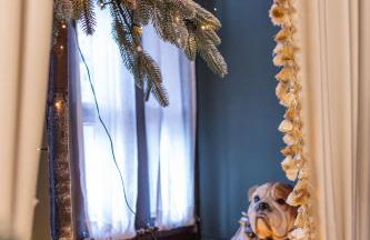 Rock Dandy La Maison De L’Ours | Top Fireplace Retreat - Foto 146