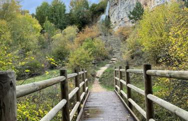 Alojamiento Rural Los Hacheros - Foto 60