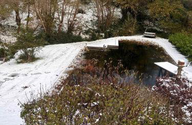 Idyllic country house & organic swim pond - Photo 47