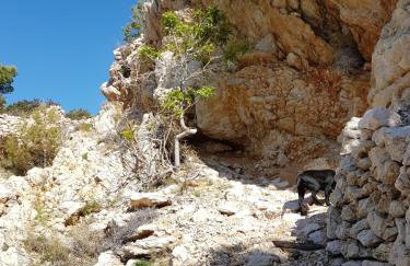 Starigrad kod Senja 60/a - Foto 42