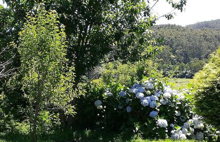Luz da Lúa - Casa del campo - Foto 30