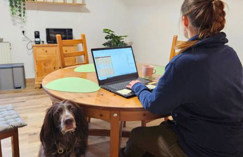 Ferienwohnung Schwarzhof- Hahnekräh am Bostalsee, helle 75 qm & hundefreundlich - Foto 69