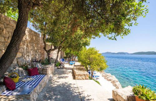 House Planika - Photo 25