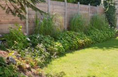 FeWo Todeskino ''Strandgut'' in Heiligenhafen - Foto 19